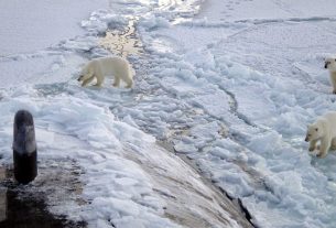 klímaváltozás, Arktisz